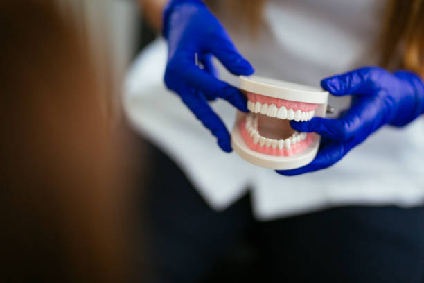 Best Dental Exams and Cleanings  in Lakesite, TN